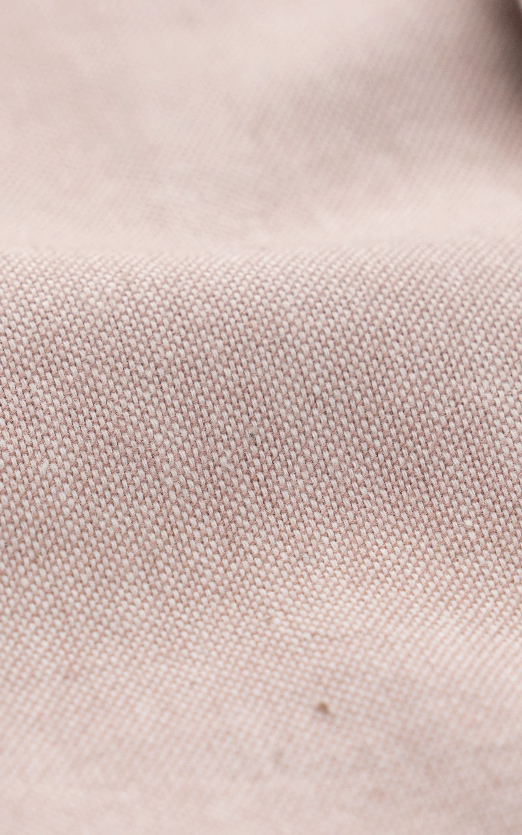LIMITED EDITION SHIRT LIGHT BROWN - Image 3