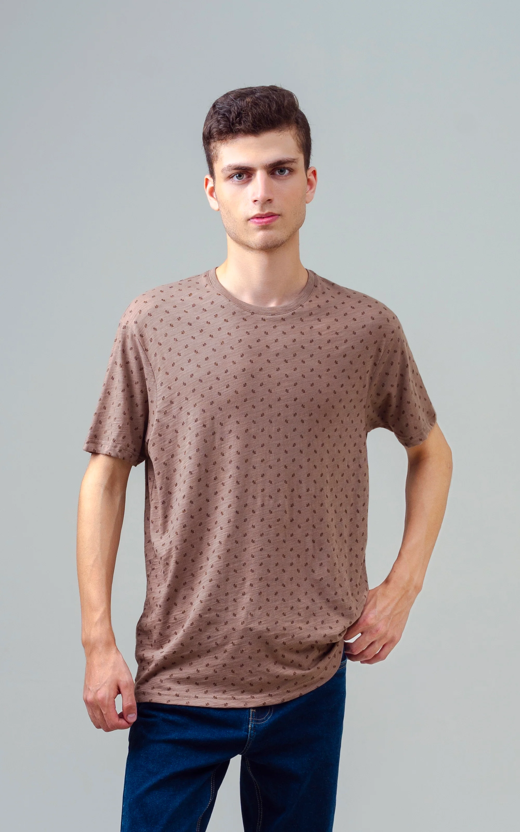 REGULAR FIT PRINTED T SHIRT KHAKI - Image 8